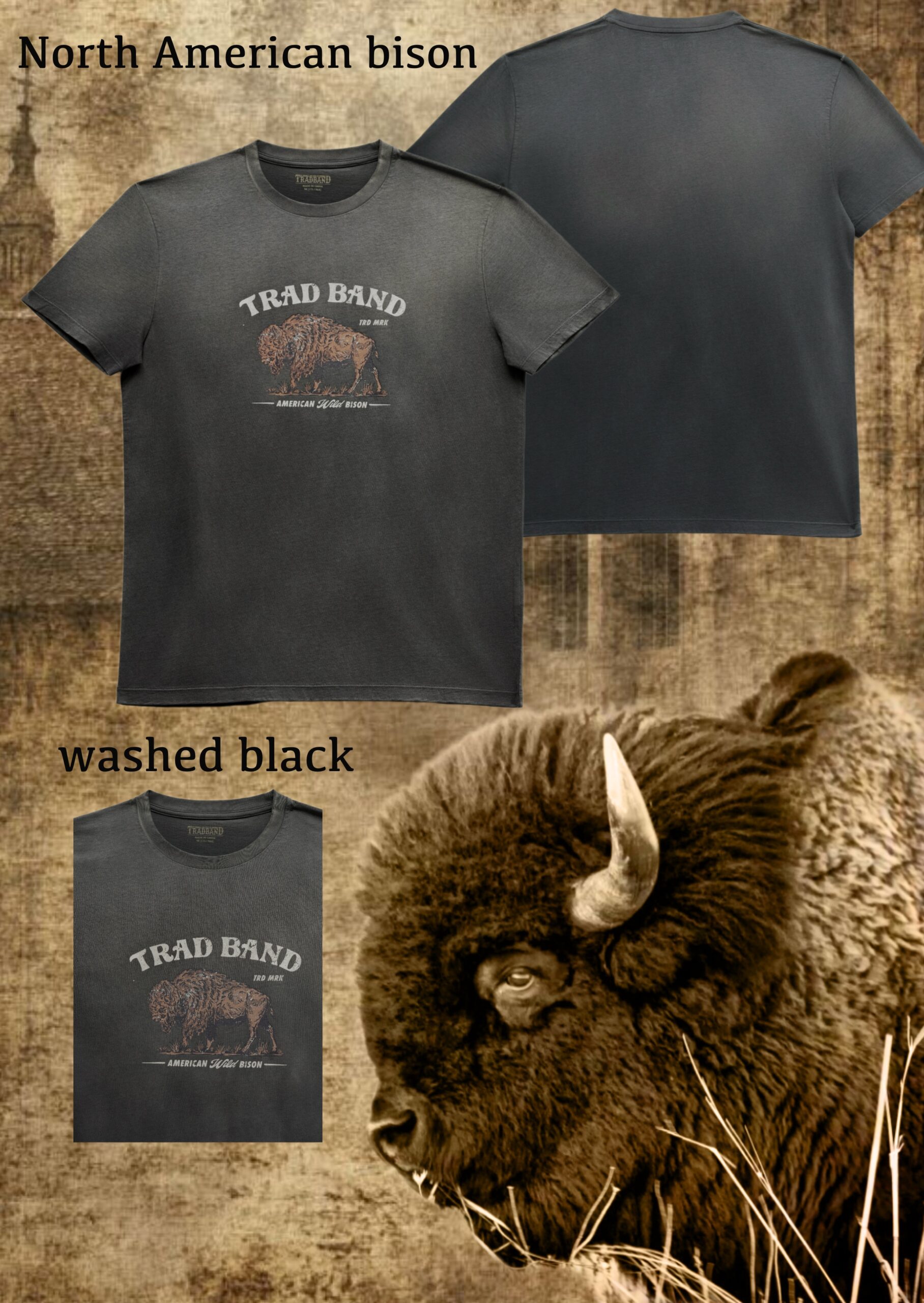 TRADBAND26 new T-shirt, North American bison: washed black